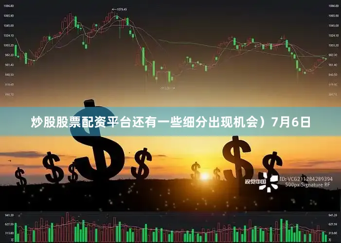 炒股股票配资平台还有一些细分出现机会）7月6日
