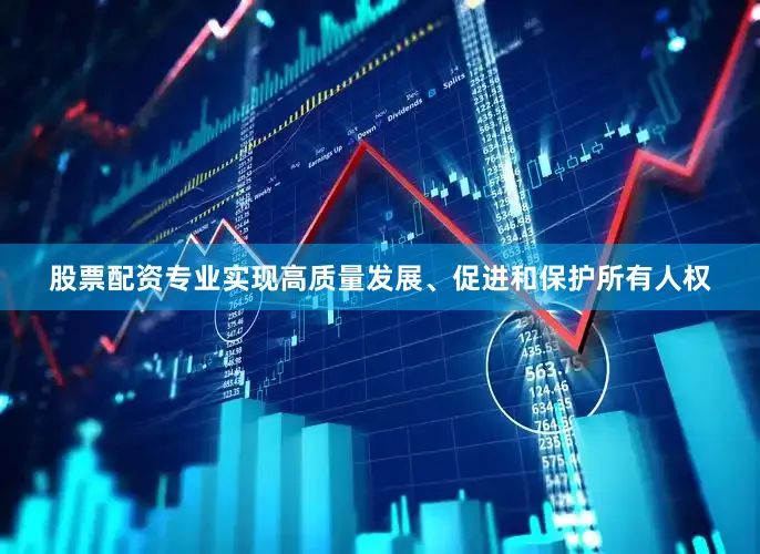 股票配资专业实现高质量发展、促进和保护所有人权
