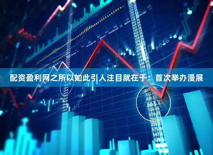 配资盈利网之所以如此引人注目就在于：首次举办漫展