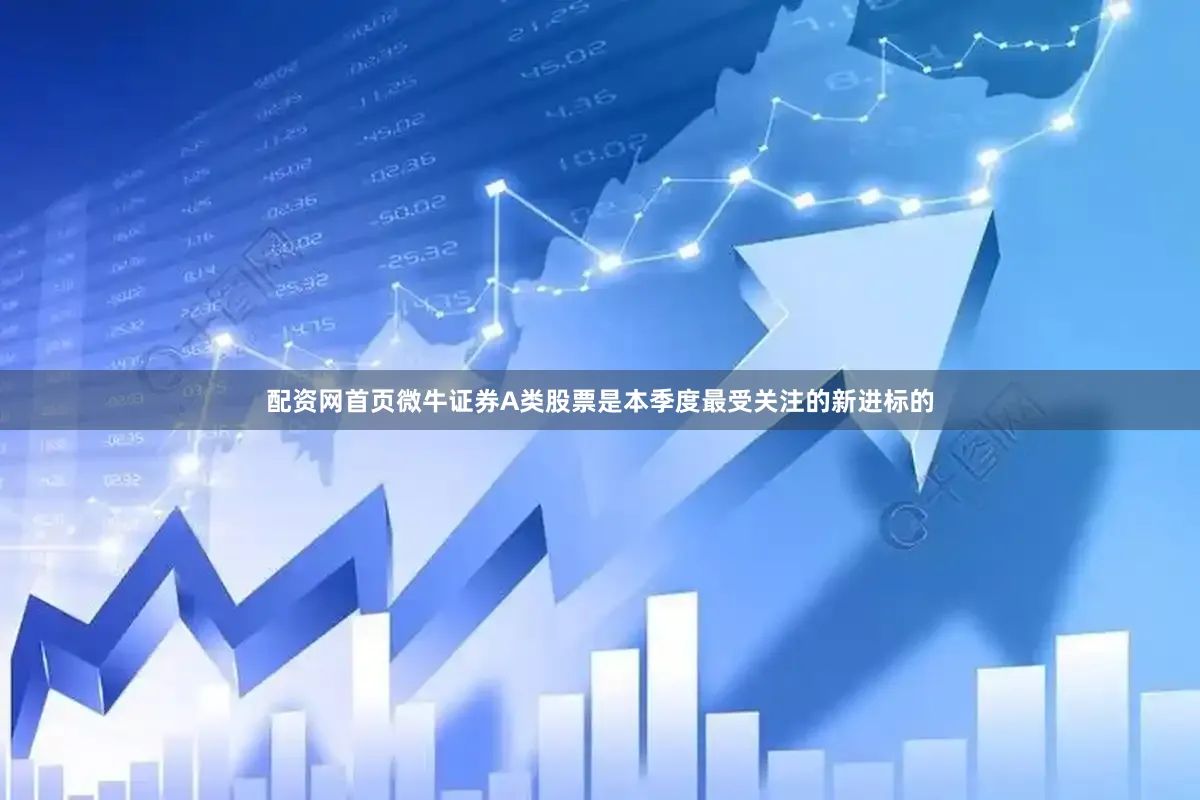 配资网首页微牛证券A类股票是本季度最受关注的新进标的